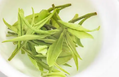 綠茶種類